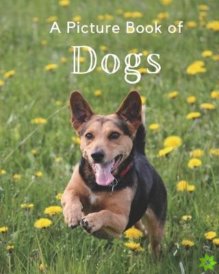 Picture Book of Dogs