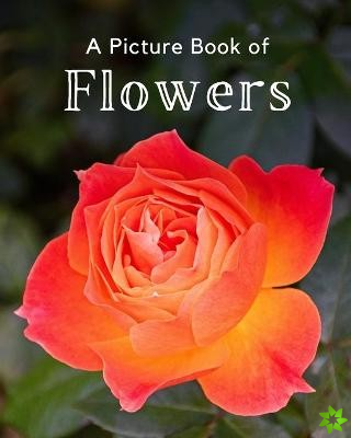 Picture Book of Flowers