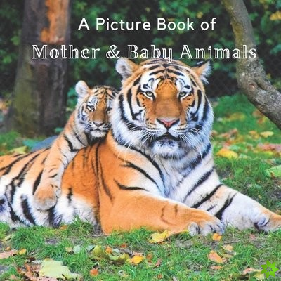 Picture Book of Mother & Baby Animals