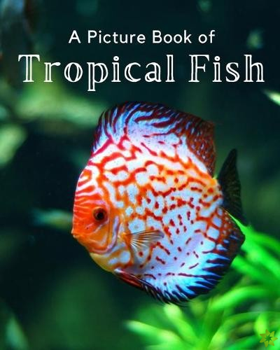 Picture Book of Tropical Fish