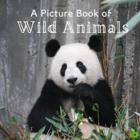 Picture Book of Wild Animals