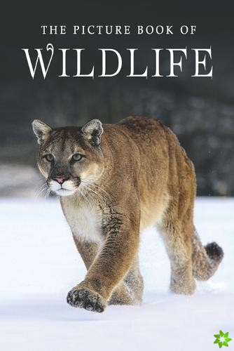Picture Book of Wildlife