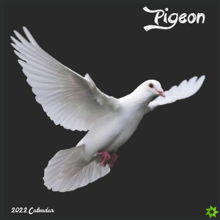 Pigeon 2022 Calendar