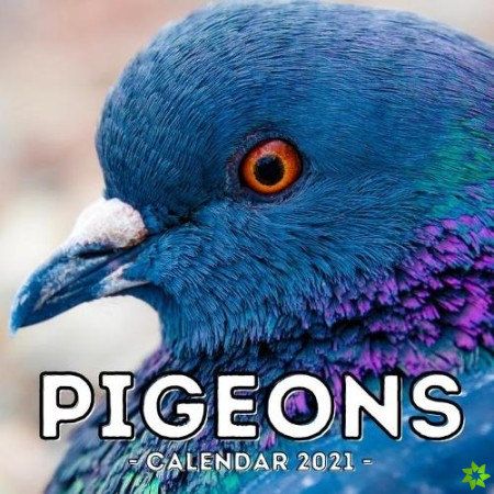 Pigeons Calendar 2021
