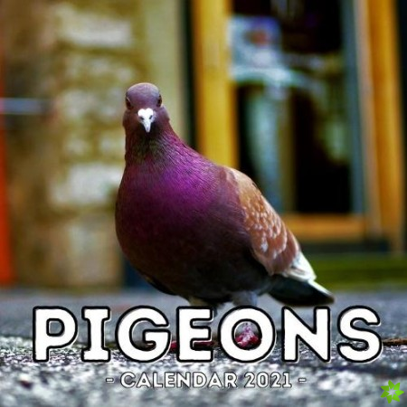 Pigeons Calendar 2021