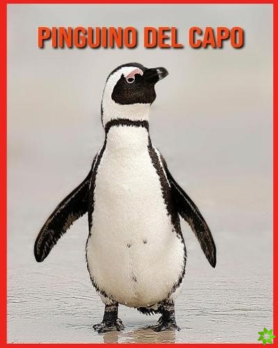 Pinguino del Capo