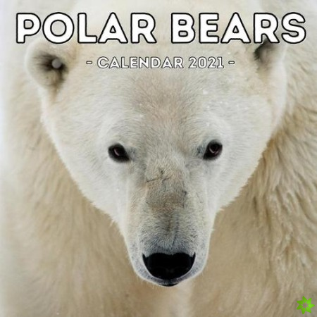 Polar Bears Calendar 2021