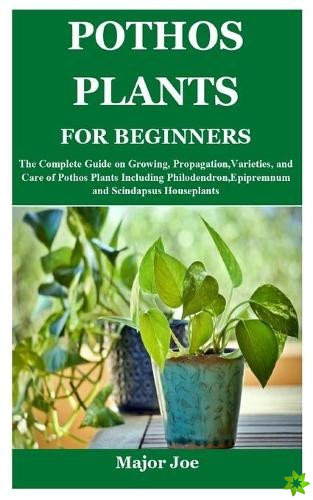 Pothos Plants for Beginners
