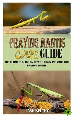 Praying Mantis Care Guide