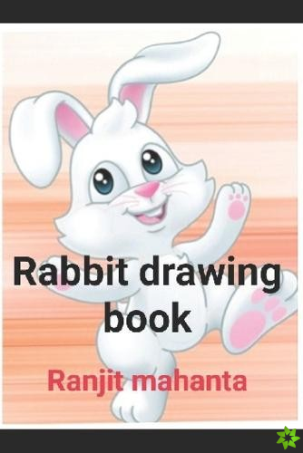 Rabbit drawing book