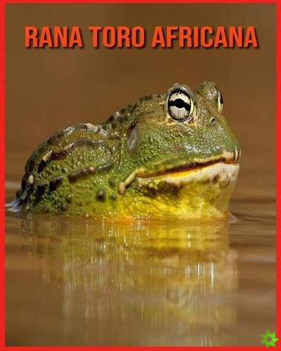 Rana Toro Africana