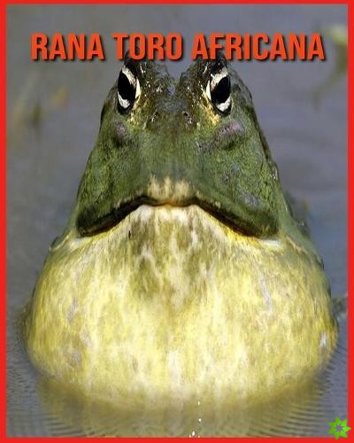Rana Toro Africana