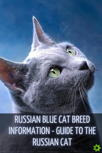 Russian Blue Cat Breed Information