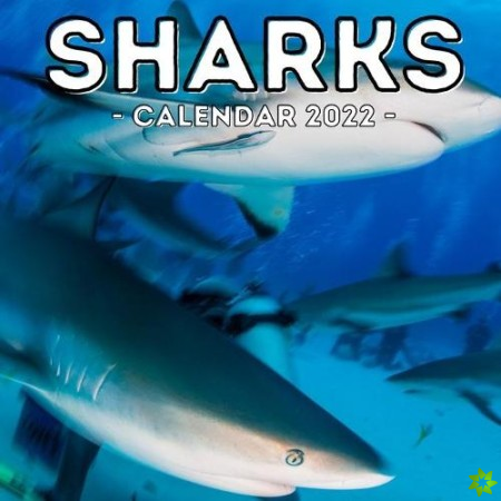 Sharks Calendar 2022