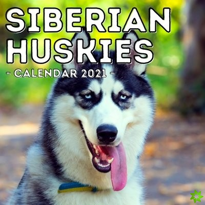 Siberian Huskies Calendar 2021