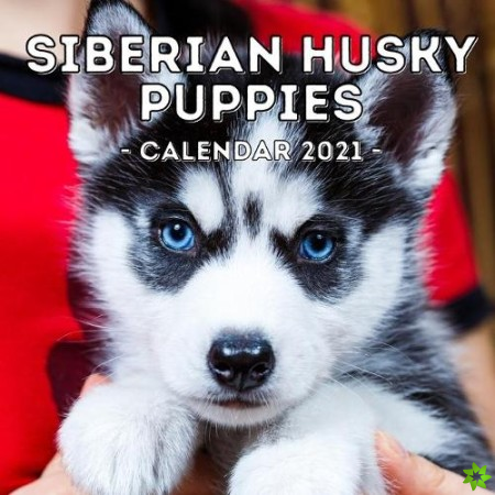 Siberian Husky Puppies Calendar 2021