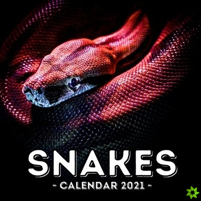 Snake Calendar 2021