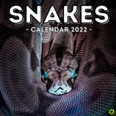 Snakes Calendar 2022