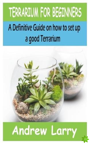 Terrarium for Beginners