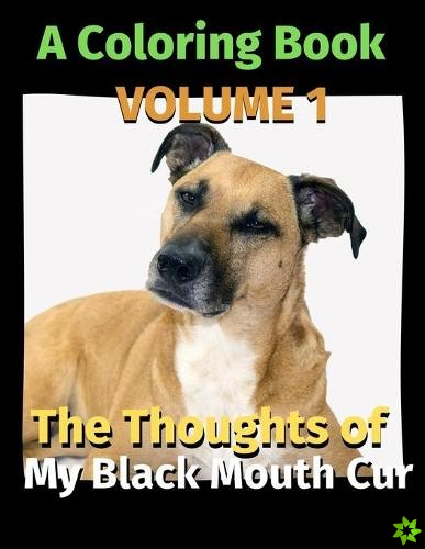 Thoughts of My Black Mouth Cur