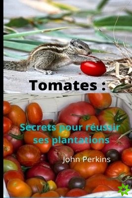 Tomates secrets reussir leur plantation
