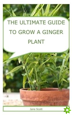 Ultimate Guide to Grow a Ginger Plant