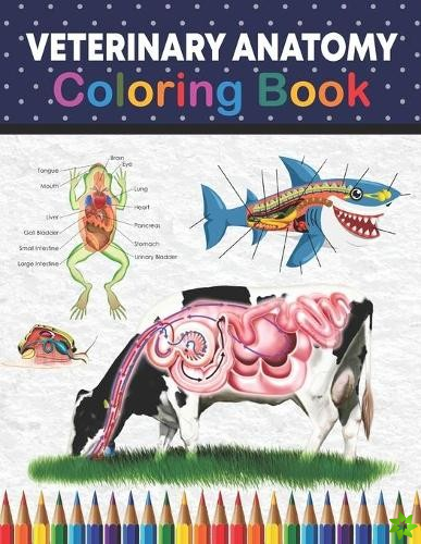 Veterinary Anatomy Coloring Book