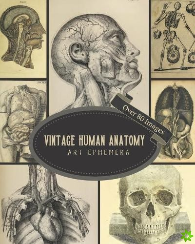 Vintage Human Anatomy Art Ephemera