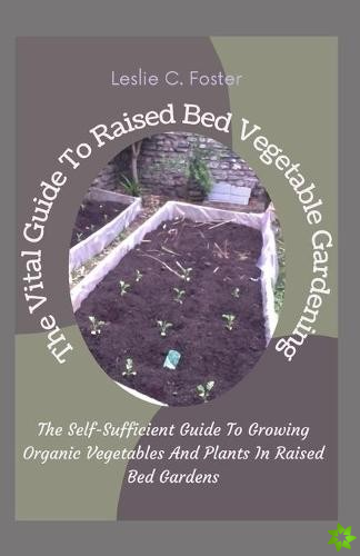 Vital Guide To Raised Bed Vegetable Gardening