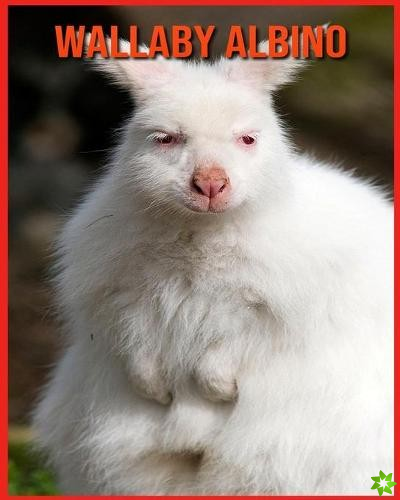 Wallaby Albino