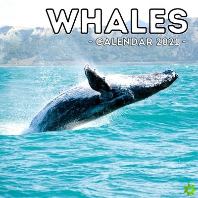 Whales Calendar 2021