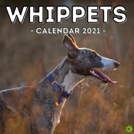 Whippets Calendar 2021