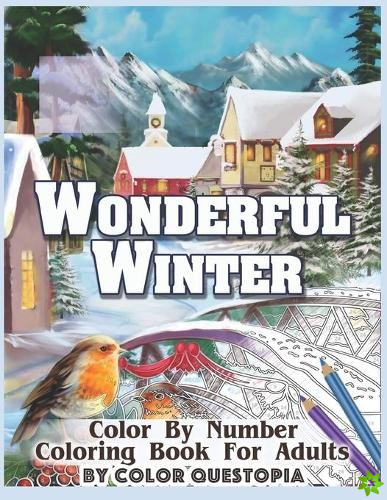 Wonderful Winter Color By Number Coloring Book For Adults