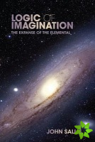 Logic of Imagination