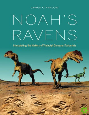 Noah's Ravens