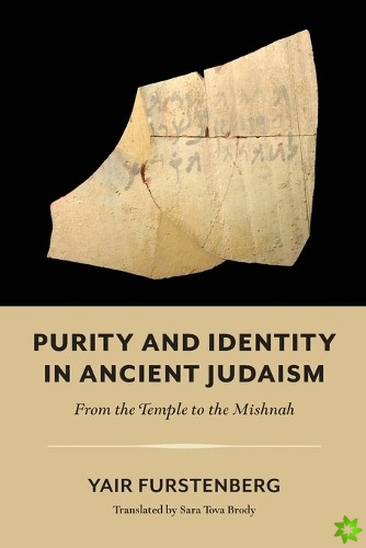 Purity and Identity in Ancient Judaism  From the Temple to the Mishnah