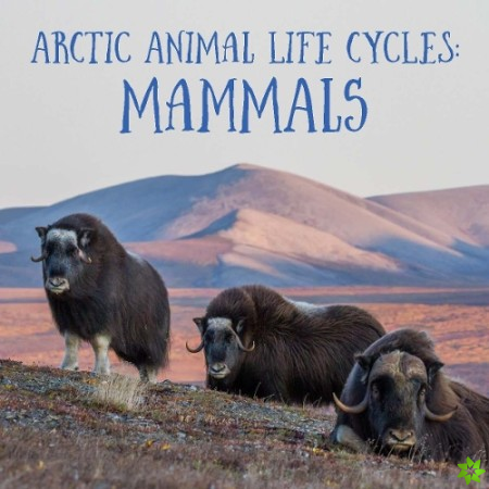 Arctic Animal Life Cycles: Mammals
