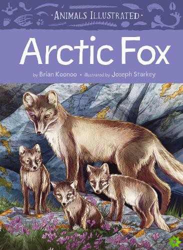 Animals Illustrated: Arctic Fox