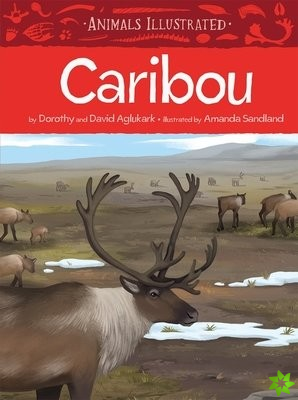 Animals Illustrated: Caribou