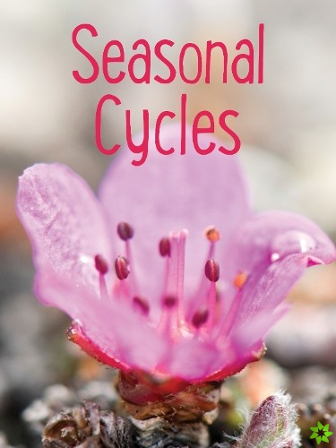 Seasonal Cycles