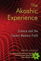 Akashic Experience