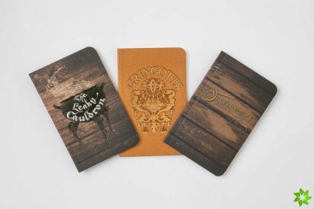 Harry Potter: Diagon Alley Pocket Journal Collection