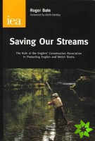 Saving Our Streams