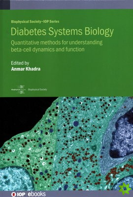 Diabetes Systems Biology