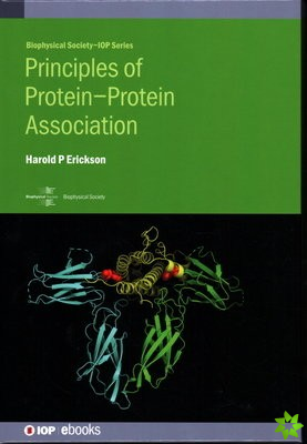 Principles of ProteinProtein Association