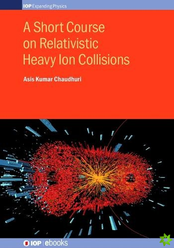 Short Course on Relativistic Heavy Ion Collisions