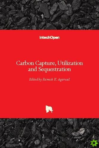 Carbon Capture, Utilization and Sequestration
