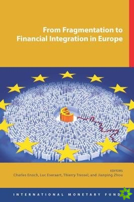 From fragmentation to financial integration in Europe
