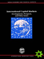 Occasional Paper No 43; International Capital Markets