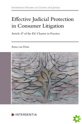 Effective Judicial Protection in Consumer Litigation